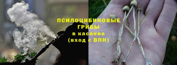 каннабис Аркадак