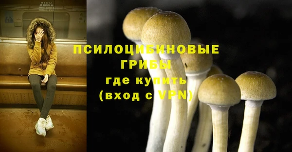тгк Армянск